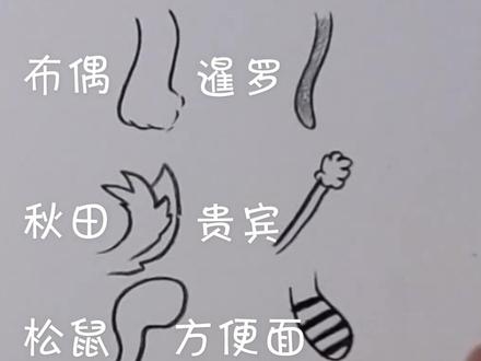 不同类型尾巴 绘画小技巧#素描 #抖音小助手