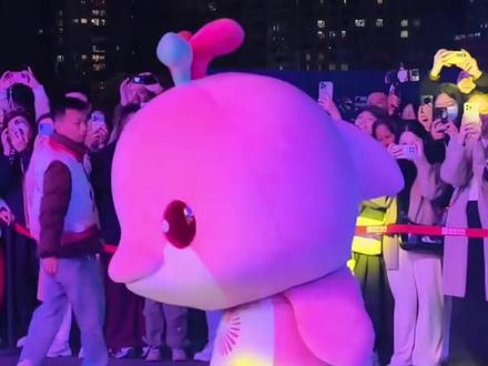 再见了!大湾鸡#吉祥物 #大湾鸡 #也太可爱了吧