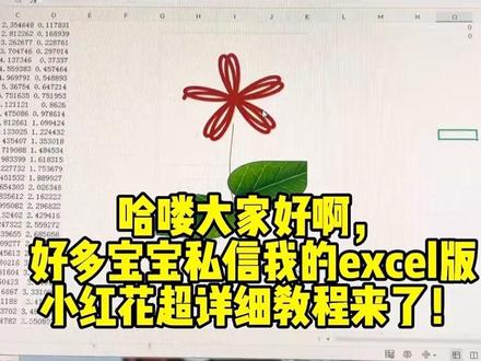 超详细的excel小红花教程来了#excel函数 #上热门word #excel技巧 #抖音小助手dou上热门