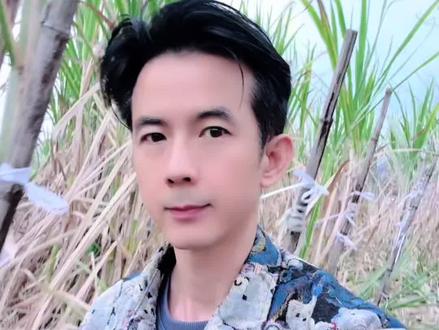 今年的蔗农实在是太难了!#三农 #甘蔗 #种植 #广西 #热门