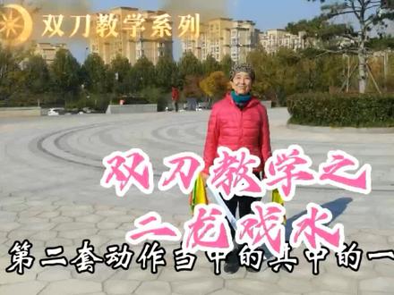 武术传统双刀二龙戏水 #全民健身你我同行
