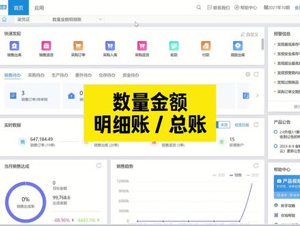 金蝶云星辰-数量金额明细账与数量金额总账。
#会计 #erp #会计实操 #记账报税 #金蝶