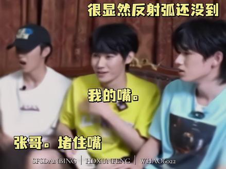我想和这个张真源畅聊一整夜#张真源 #严浩翔 #贺峻霖 #翔霖
