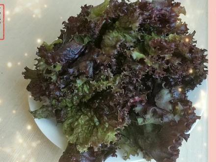 喜欢素食的朋友们看过来,今日分享蒜蓉红生菜的做法,简单又好吃