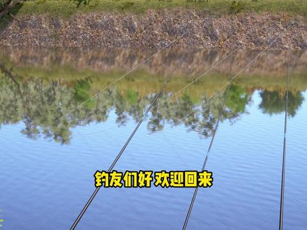 小沙俄钓手竿蹲星篇 里海拟鲤 拟鲌 珠蚌 青蛙 白刺盖太阳鱼 #俄罗斯钓鱼4攻略 #俄罗斯钓鱼4