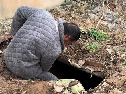 俺爸在地窖里面养了一窝兔子,今天把地窖给掀了,让俺闺女下去抓了几只兔子出来,把皮给它剥了,红烧吃,没想到做出来这兔子肉,口感还真的挺好吃的……#兔子#地窖养兔子#活物兔子