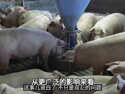 双汇猪肉抗生素超标37.5倍:背后折射的六大深层问题剖析