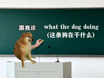 我的刀盾,比比巴布,巴巴博一#猫meme #梗百科 #冷知识 #内容过于真实