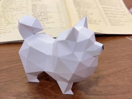 这我的小狗!快看啊!#折纸 #博美 #手工 #艺术成分很高