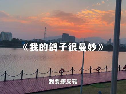 不知道,我的鸽子很曼妙!雷霆拼好歌!#疯狂的鸽子#我的鸽子很曼妙#拼好歌#音乐分享