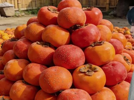 不知火舞难道是客家人 #不知火舞梗二创大赛#不知火舞模仿大赛 #客家话