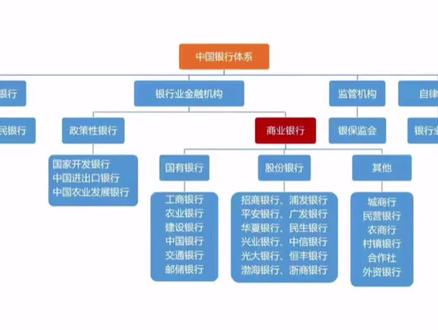 中国的银行体系!#涨知识#银行知识@抖音小助手