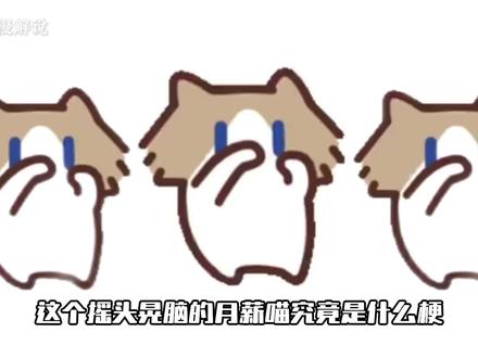 这个摇头晃脑的月薪猫究竟是什么梗! #月薪喵 #表情包 #CC猫 #我在抖音看动漫 #充能计划