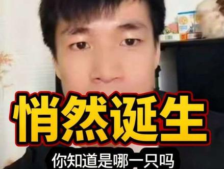 2026年的十倍妖股已经悄然诞生了。#口播视屏 #经验分享#萝卜头 #经验分享
