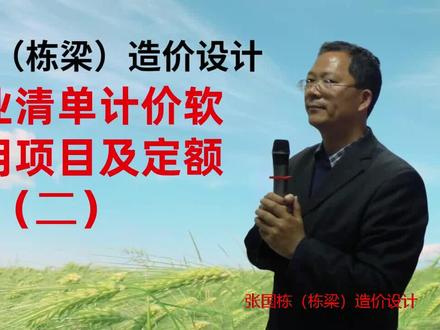 张国栋(栋梁)造价设计:用宏业清单计价软件套用项目及定额(二)#建筑工程 #工程造价