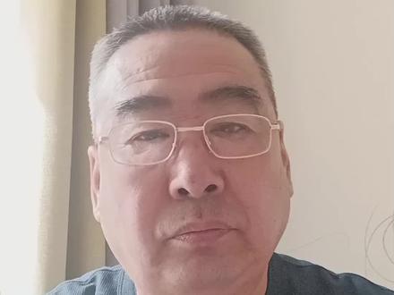 月球陨石中发现的石墨晶须是一种什么矿物?