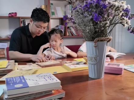 TOI适合3-6岁入门级经典桌游logic box,玩起来一个小时能不找妈#桌游