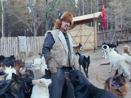 巡山遛狗,骑马喝酒!#狗 #马 #大山里的风景就是这么美