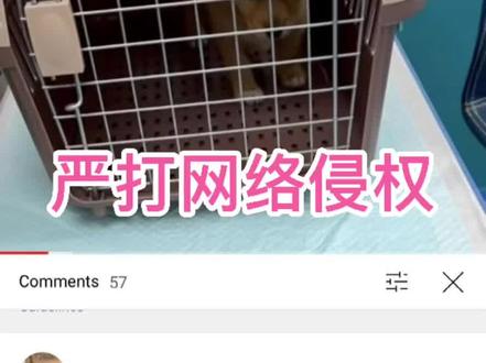 YouTube上的短歌,请你马上停止侵权行为,并且道歉。有该平台账号的朋友麻烦声援,向侵权说不!