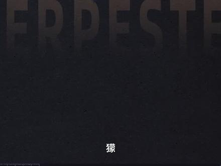 《狮子王》中丁满的原型——獴#獴