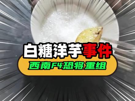 是哪个仙人教你吃洋芋蘸白糖的!#西南f4 #洋芋 #整活 #贵州 #广西