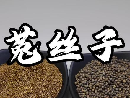 泡的菟丝子不‘吐丝’?99%是假货冒充的!看颜色、沉水底、会吐丝,3招辨真假!#菟丝子 #菟丝子茶 #中草药 #真假辨别 #养生