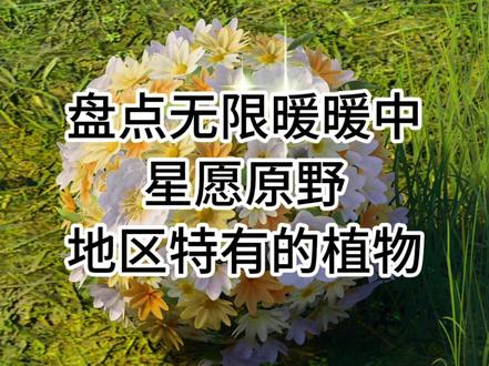 狗蝶居然在大世界偷懒!盘点心愿原野5种地区特有的植物 #无限暖暖 #无限暖暖大世界 #无限暖暖万灵的归途 #无限暖暖摄影 #无限暖暖植物