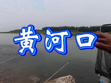 小龙潭沁河入汇黄河两公里!#钓鱼 #户外钓鱼 #野钓