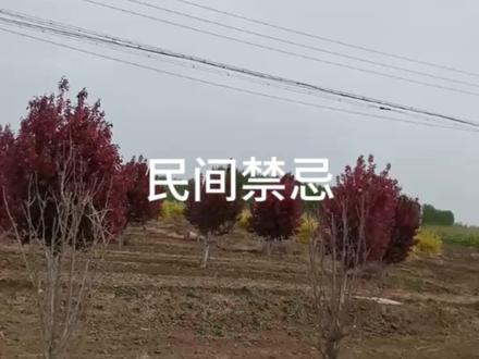 民间的七条建议#民间禁忌 @DOU+小助手