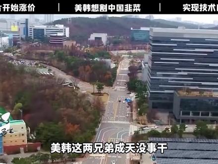 美韩又想割中国韭菜?制裁长存后芯片坐地涨价,普通人怎么办? #芯片制裁 #割韭菜 #美韩联手 #坐地涨价