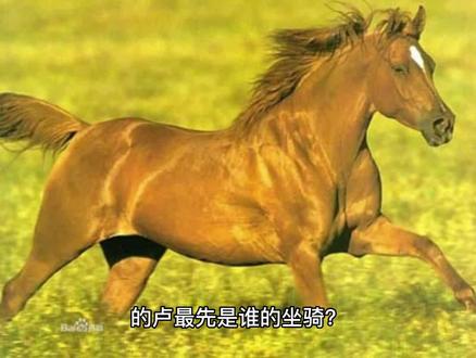 的卢最先是谁的坐骑?