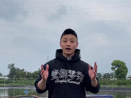 蓝吉罗价格排名#蓝吉罗 #吉罗鱼 #特种鱼苗 #蓝鳍彩虹 #观赏鱼