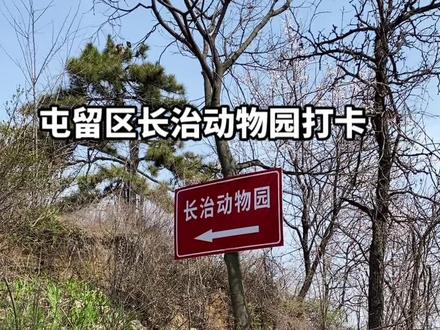 屯留区长治动物园30元门票,值了#长治网红打卡地推荐
