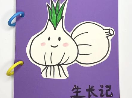 《大蒜生长记》手工绘本来咯!大蒜从叶子到种子都可以吃哦!一起来看看生长过程吧!#手工制作绘本 #简笔画 #自制绘本