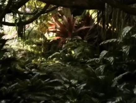 《阿凡达3:火与灰》(一)游戏改编电影