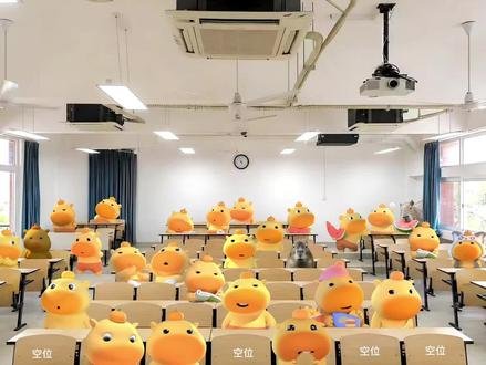 哪个噜没来上课,给我艾特一下 #水豚噜噜 #噜噜 #大学生日常