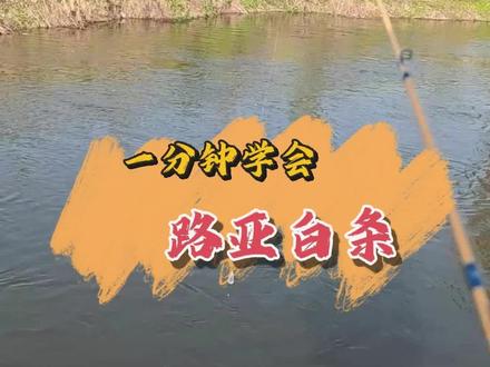 一分钟学会路亚白条#路亚野钓 #苍蝇钩#内容启发搜索