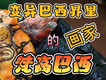 你相信吗?这是由一只普通巴西龟演变成如此美丽多彩的样子,不是冰冷的机器印刷出来多彩图案的,而是真真切切的在原本样子变化而得来的,这就是变异巴西界里的画家“梵高巴西”#变异巴西龟 #爬宠爱好者日常 #异宠饲养科普 #养龟人 #养龟日记