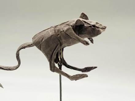 教你折一只逼真的跳鼠(第三部分) #diy #手工制作 #手作