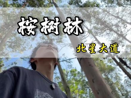 亲子出游 北星大道这家“桉树林”竟然隐藏着迪拜同款的反重力瀑布,关键100出头就可以吃两顿玩一天!
#吃喝玩乐在成都 #营地 #周末去哪玩 #抖音玩乐攻略 #遛娃好去处
