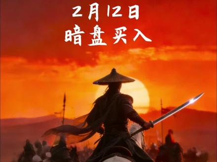 2月12日主力暗盘买入揭晓#股票