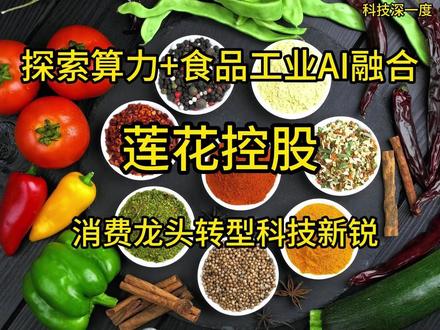 莲花控股---从“味精大王”到AI算力新势力