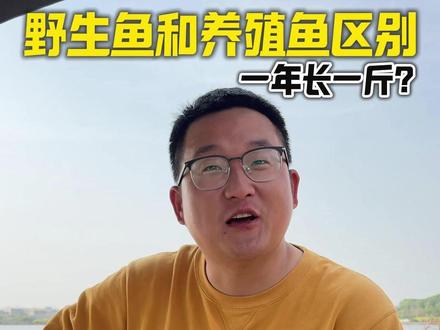 养殖鱼和野生鱼区别 这些冷知识你了解过吗?#爱生活爱钓鱼