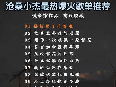 沧桑小杰最热爆火歌单推荐 #音乐种草计划 #车载音乐u盘 #车载U盘 #音乐一响年味拉满 #热门音乐🔥