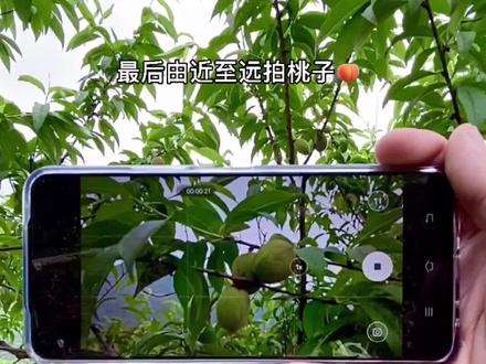 十五秒教会你如何把桃子🍑拍出唯美小短片#手机摄影#轻而易剪@剪映研究所