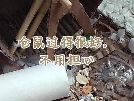 大家想要的仓鼠饮水机教程来啦#饮水机自制#仓鼠用品