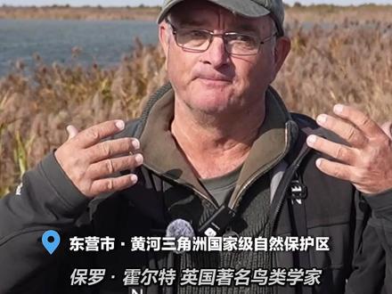 初冬时节,黄河口湿地迎来候鸟迁徙高峰期,形成壮观的“鸟浪”,吸引了大批游客及观鸟爱好者前来打卡,这波“生态流量”也让“观鸟经济”持续升温。