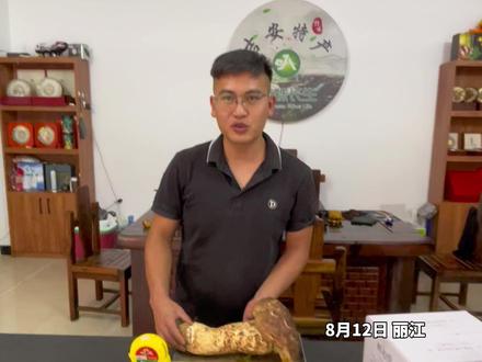 重1190克!长33厘米!“松茸王”现身丽江,比头还大!商户:“30年来见过品相最好的松茸”#丽江大小事#野生菌#松茸