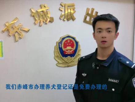 民警小哥哥教你办犬证 文明养犬“宠”我做起