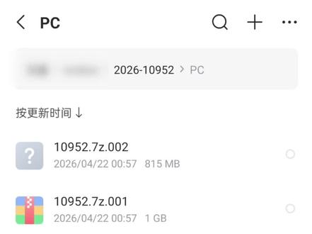 迅雷文件移动到手机本地系统文件教程 #教程